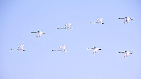 上线近4个月《生化危机4 重制版》全球销量突破500万份